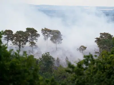 Midlands Wildfire Warning as UK Heatwave Continues into Next Week