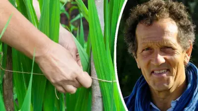 Monty Don's July Gardening Tips: Staking Plants to Prevent Summer Storm Damage