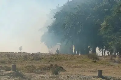 National Trust Closes Long Mynd Roads After Wildfire