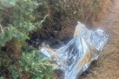 Outrage as Headless Horse and Dead Foal Dumped in Bridgnorth Village
