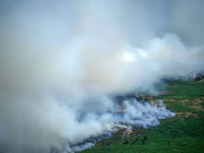 Over 200 Wildfires in Fortnight as UK Braces for Fourth Heatwave