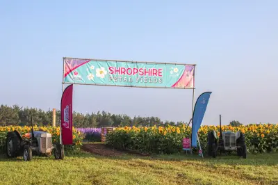 Petal Fields Organisers Issue Important Update for August Event
