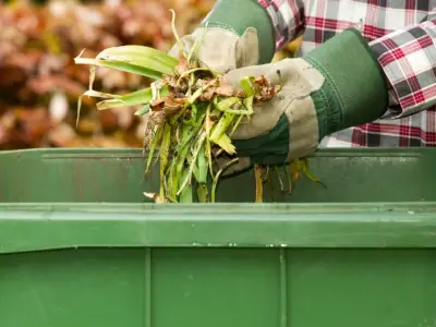 Return of Birmingham garden waste collections 'challenging' as update issued