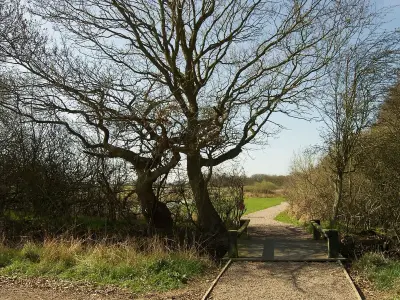 Solihull Wins 21 Green Flag Awards, Highest in West Midlands