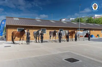 Tally Ho Police Horses Move to New £3.2m American-Style Stables in Edgbaston