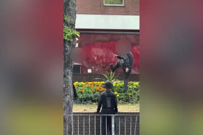 Teenagers Laugh While Destroying Flowerbed in West Midlands Town Centre
