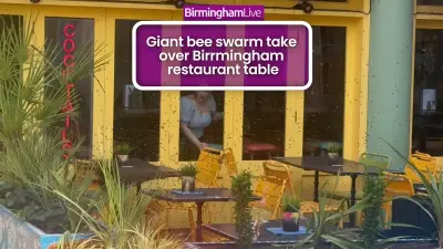 Thousands of Bees Swarm Outside Las Iguanas in Birmingham City Centre