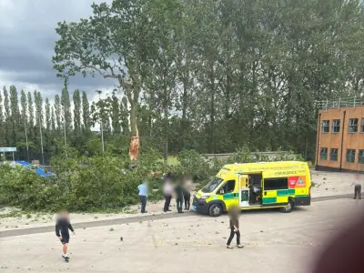 Three boys injured as tree falls at Birmingham school, one seriously hurt