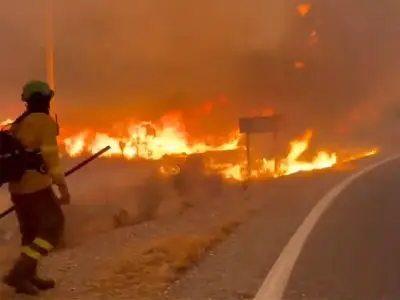 Two British Hikers Found Alive with Severe Burns After Spanish Wildfire Rescue