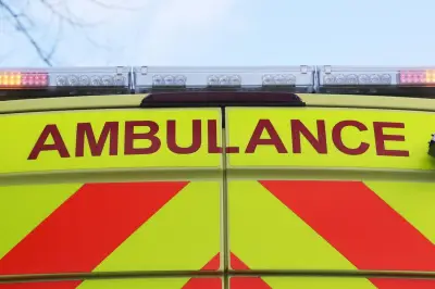 Two Men Injured After Car Crashes Into Tree in Birmingham