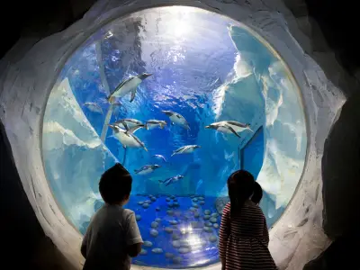 VAT Cut on Family Days Out: Full List of Discounts in Birmingham and UK