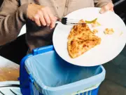 11 Items Banned from Food Bins as Delayed Recycling Rules Come Into Force