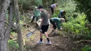 40 volunteers transform overgrown garden into outdoor space for school pupils