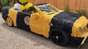 Bee-Themed Car Drive to Benidorm for Hearing Help Essex Charity