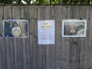Bill Oddie tributes appear in childhood Halesowen street after death