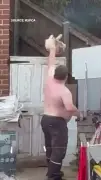 Bristol Man Banned from Keeping Animals for Throwing Dog Over Gate