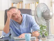 Campaign for Legal Maximum Working Temperature in UK Gains 20,000 Signatures Amid 35C Heatwave