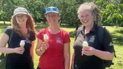 Championing Nature Event Celebrates Pollinators in Wythenshawe Park