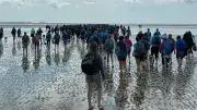 Charity Iconic Morecambe Bay Walk Returns for 13th Time