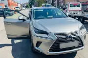 Driver Arrested After Police in Birmingham Discover Stolen Car
