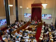 Dudley Council adopts new local plan with housing targets instantly outdated
