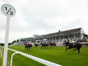 First-Ever Study to Assess Horse Racing's Economic Impact on Wales