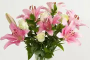 Flowers Say It Best: Birthdays, Apologies – 15% Off Award-Winning Florist
