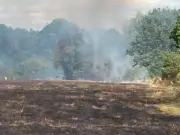 Forty firefighters battle grass fire at Woodgate Valley Country Park, Birmingham