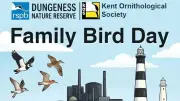 Free Family Nature Event Coming to Kent Coast This August