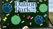 Free Outdoor Activities and Seasonal Shopping at Dalton Park This Summer
