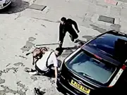 Full List of Horrific Dog Attacks Across Birmingham: Tragic Deaths, School Lockdown and Girl Mauled
