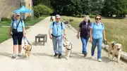Guide Dog Puppies Visit Lacock Abbey for Early Training in Wiltshire