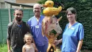 Handcrafted Totem Pole from Sandringham Wood Brings Joy to QEH Children's Ward