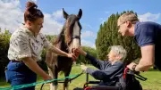 Historic Horncastle Horse Fair Returns with Week of Arts and Heritage