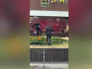 Laughing Teens Wreck Flower Bed in Sutton Coldfield Outrage