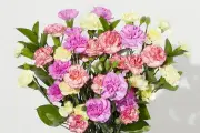 Letterbox Flowers: The Surprise Gift That Always Delivers