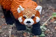 Life-Sized Brick Animal Sculptures Draw Visitors to Dudley