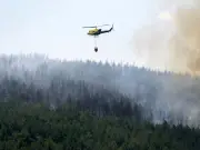 Los Gallardos Wildfire Kills 12, Including British Tourists, as Evacuations Continue