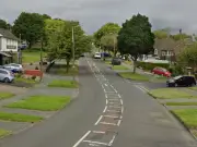 Man Hospitalized After Car Hits Tree on Dovedale Road Near Sedgley