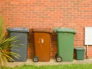 New bin collection rules from Monday: food waste ban in general waste