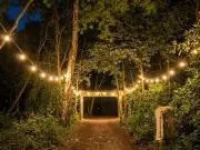 Off Grid Festival: New Woodland Music Event Coming to Sutton Coldfield This Summer