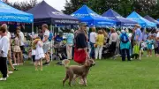 Pilgrims Hospices Summer Fair Returns to Ashford with Family Fun and Dog Show
