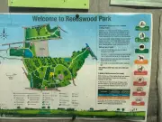 Reedswood Park Woodland to Be Lost for £50m School Despite Opposition