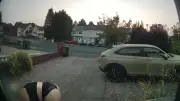 Semi-naked woman caught on camera stealing milk from doorstep at 5am