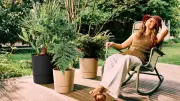 Six Watering Aids to Save Plants and Cut Waste This Summer