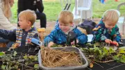 Surrey Hills Wood Fair 2026: Woodland Adventure Returns to Cranleigh