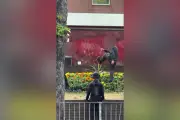 Teenagers Laugh While Destroying Flowerbed in West Midlands Town Centre