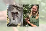 Telford Exotic Zoo Baby Boom Brings Summer Buzz to Visitors