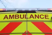 Two Men Injured After Car Crashes Into Tree in Birmingham