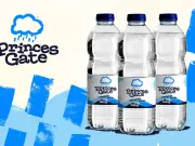 Welsh bottled water firm Princes Gate part of £4.2bn Nestle joint venture